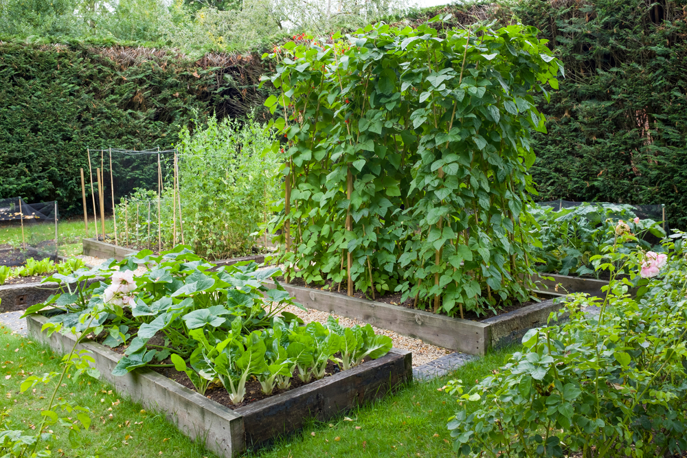 Záhradkárčenie zábavou – vyvýšené betónové záhony